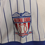 Headgear Classics 1931 Cleveland Cubs #17 Pinstripe Baseball Jersey Men’s XL