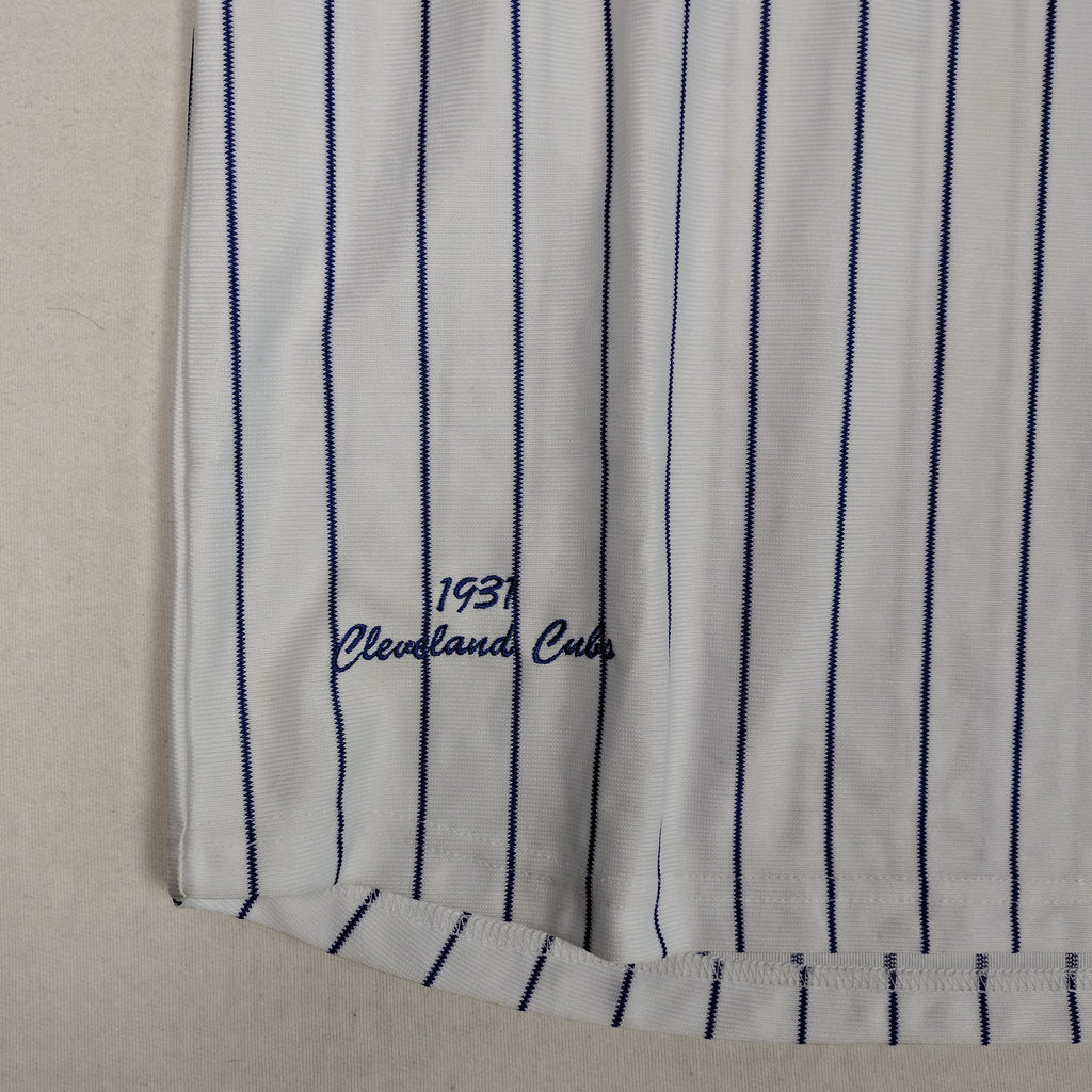 Headgear Classics 1931 Cleveland Cubs #17 Pinstripe Baseball Jersey Men’s XL