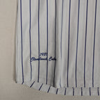 Headgear Classics 1931 Cleveland Cubs #17 Pinstripe Baseball Jersey Men’s XL
